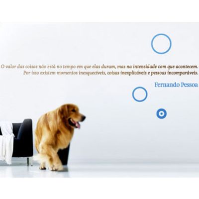 Adesivo de Parede Valor das Coisas